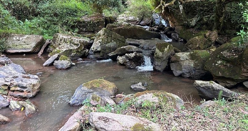 The stream habitat in Xaisomboun Province where the keelback was found.