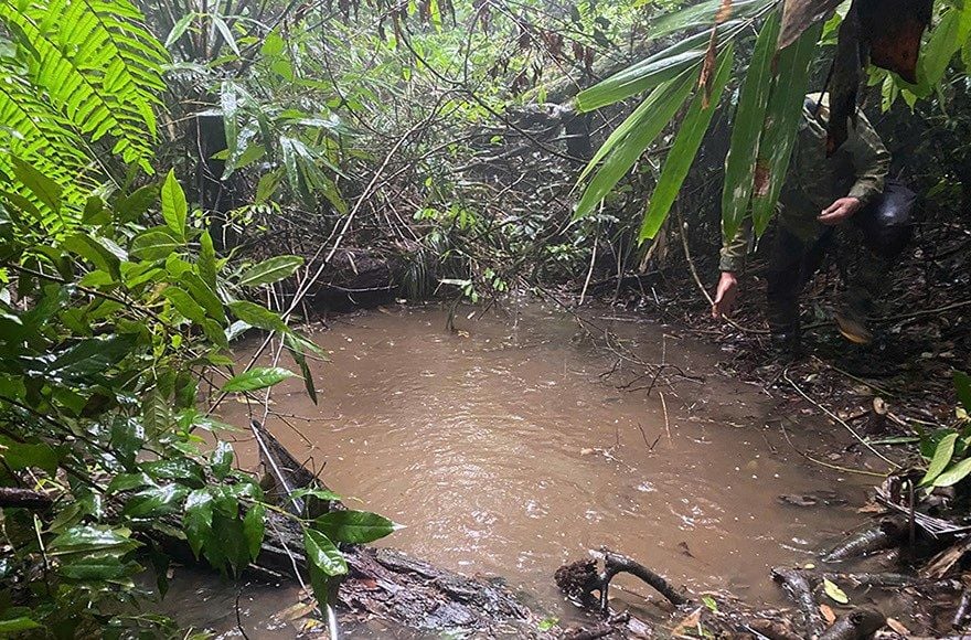 Pond 2 on Ten Mountain in Xuan Son National Park, where 28 of the park's 32 recorded newts were found.
